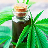 Extrato natural 100% puro CBD Cânhamo Óleo Completo Espectro CBD