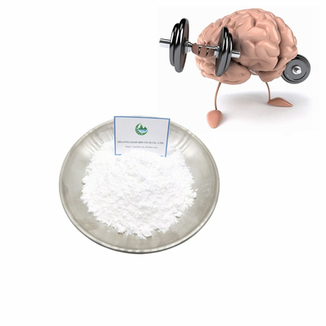 Fornecimento de alta qualidade CAS 68497-62-1 API 99% Pramiracetam em pó para realçador de cérebro